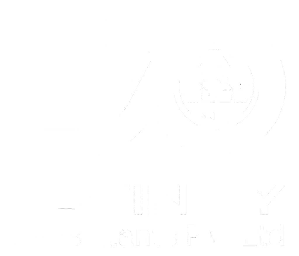 Edfinity Consultants